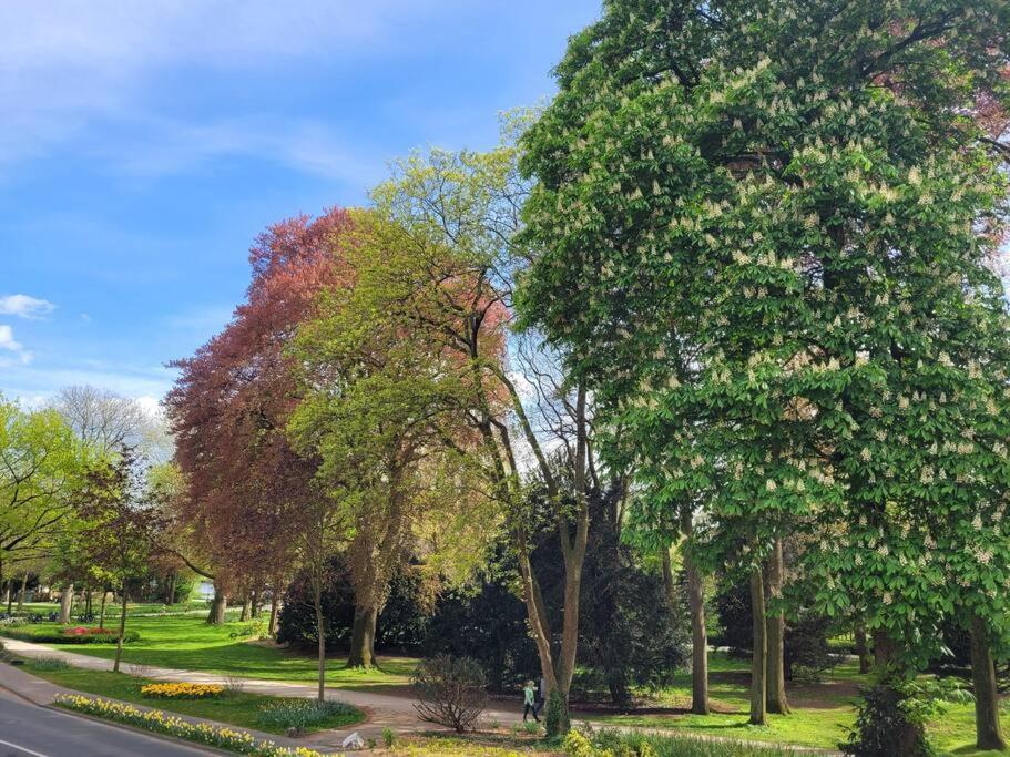 Mit Blick In Den Emsseepark Warendorf Kültér fotó
