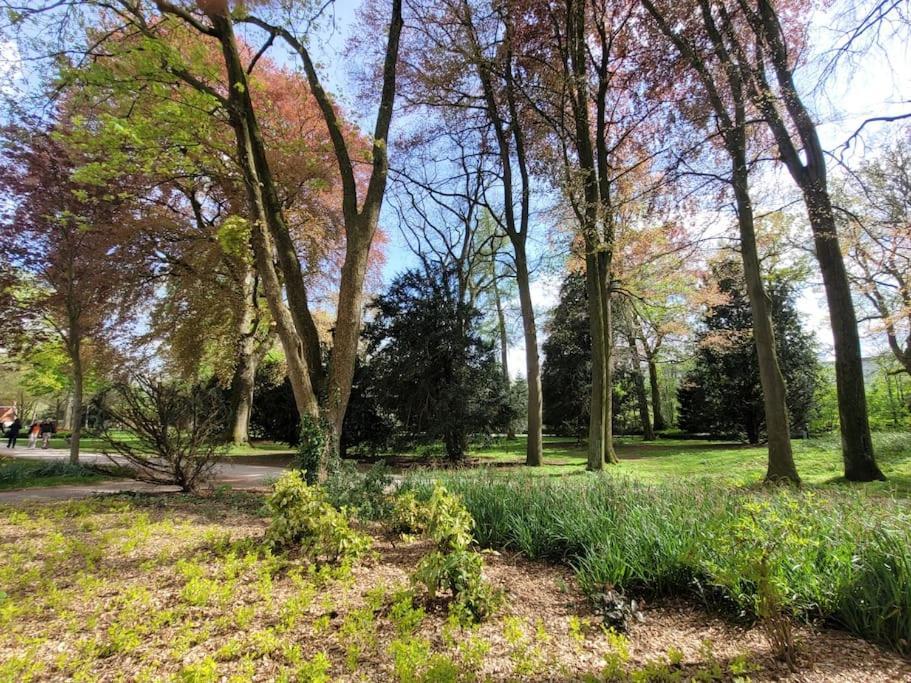 Mit Blick In Den Emsseepark Warendorf Kültér fotó