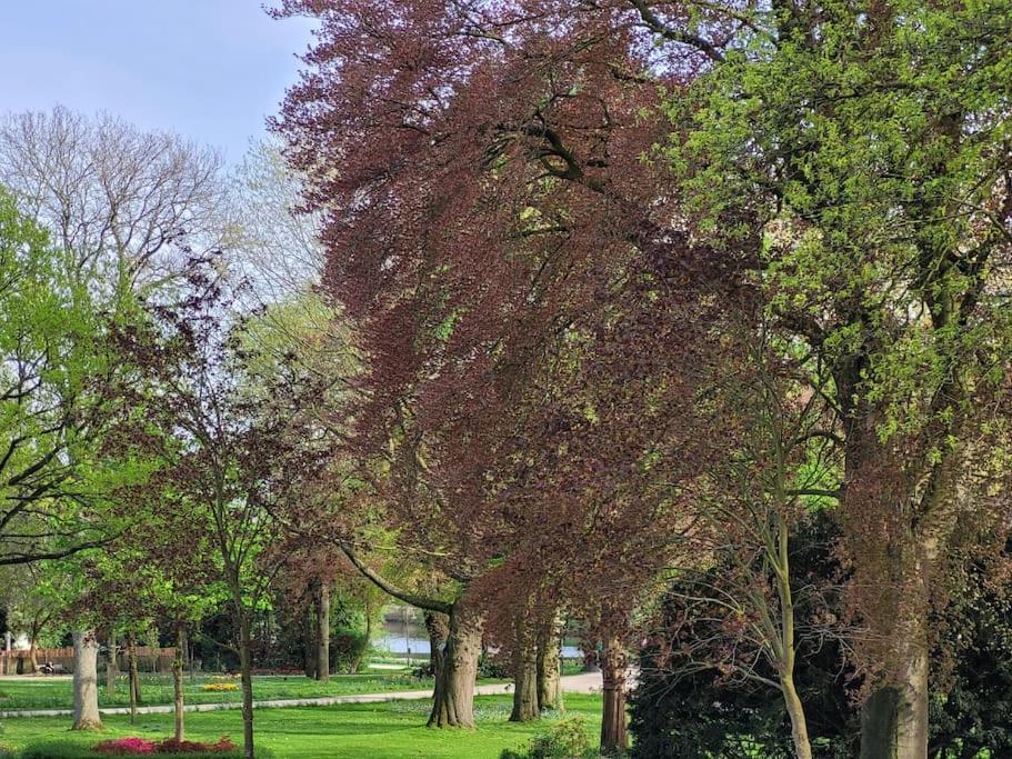 Mit Blick In Den Emsseepark Warendorf Kültér fotó